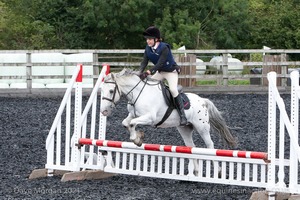 Class 4 - Fences 2'3 to 2'6